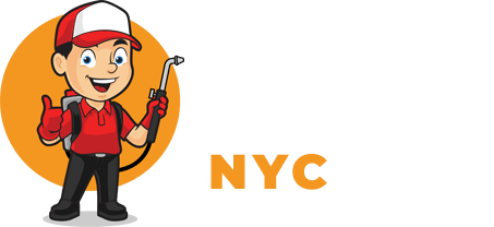 Pest Control NYC